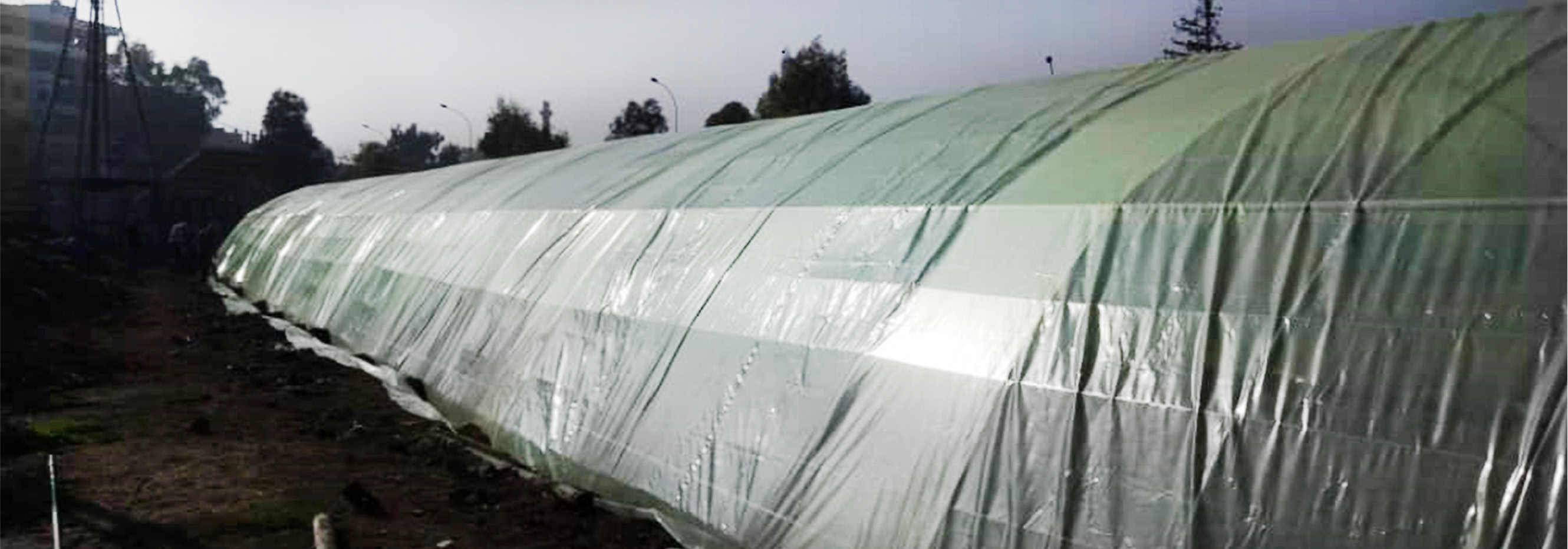 FAO-PROCUREMENT OF TWO GENERATORS & CONSTRUCTION OF TWO NURSERIES IN RURAL DAMASCUS GOVERNORATE